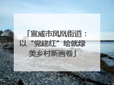 宣威市凤凰街道：以“党建红”绘就绿美乡村新画卷
