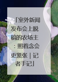 室外新闻发布会上脱稿的农场主：照着念会更紧张｜记者手记