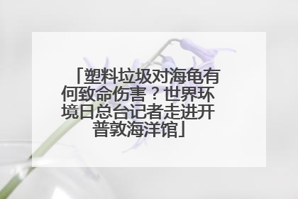 塑料垃圾对海龟有何致命伤害？世界环境日总台记者走进开普敦海洋馆