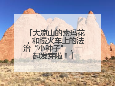 大凉山的索玛花，和慢火车上的法治“小种子”，一起发芽啦！