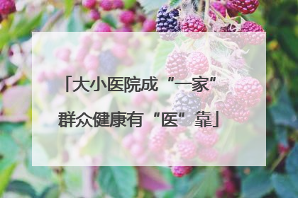 大小医院成“一家” 群众健康有“医”靠