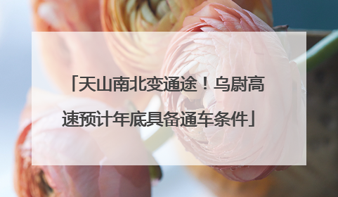 天山南北变通途！乌尉高速预计年底具备通车条件