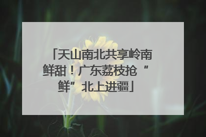 天山南北共享岭南鲜甜！广东荔枝抢“鲜”北上进疆