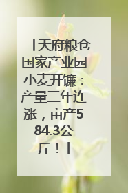 天府粮仓国家产业园小麦开镰：产量三年连涨，亩产584.3公斤！
