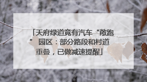 天府绿道竟有汽车“敞跑” 园区：部分路段和村道重叠，已做减速提醒
