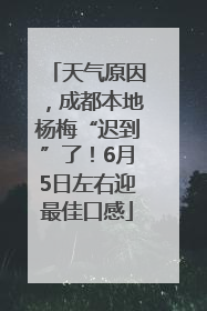 天气原因，成都本地杨梅“迟到”了！6月5日左右迎最佳口感