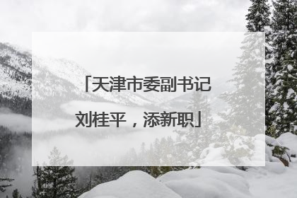 天津市委副书记刘桂平，添新职