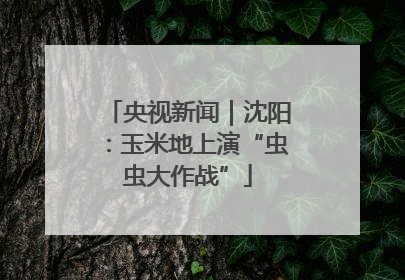 央视新闻｜沈阳：玉米地上演“虫虫大作战”