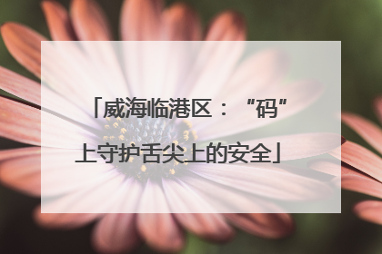 威海临港区：“码”上守护舌尖上的安全