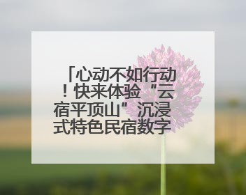 心动不如行动！快来体验“云宿平顶山”沉浸式特色民宿数字展厅