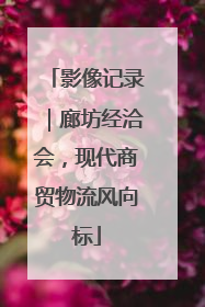 影像记录｜廊坊经洽会，现代商贸物流风向标