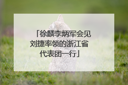 徐麟李炳军会见刘捷率领的浙江省代表团一行