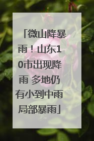 微山降暴雨！山东10市出现降雨 多地仍有小到中雨局部暴雨