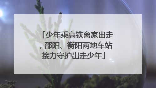 少年乘高铁离家出走，邵阳、衡阳两地车站接力守护出走少年