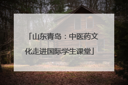 山东青岛：中医药文化走进国际学生课堂