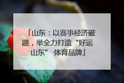 山东：以赛事经济破题，举全力打造“好运山东” 体育品牌