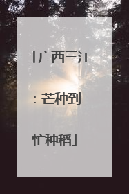 广西三江：芒种到 忙种稻