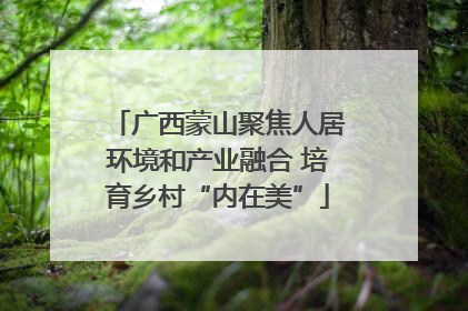 广西蒙山聚焦人居环境和产业融合 培育乡村“内在美”