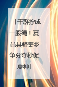 干群拧成一股绳！夏邑县骆集乡争分夺秒促夏种