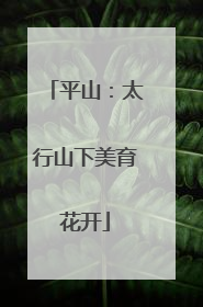 平山：太行山下美育花开