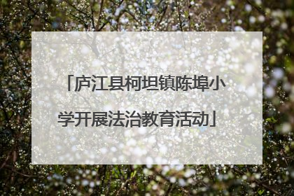 庐江县柯坦镇陈埠小学开展法治教育活动