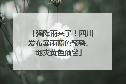 强降雨来了！四川发布暴雨蓝色预警、地灾黄色预警