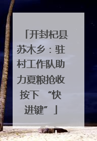 开封杞县苏木乡：驻村工作队助力夏粮抢收按下 “快进键”
