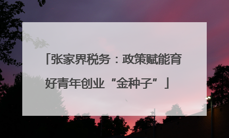 张家界税务：政策赋能育好青年创业“金种子”
