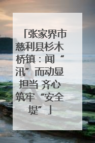 张家界市慈利县杉木桥镇：闻“汛”而动显担当 齐心筑牢“安全堤”