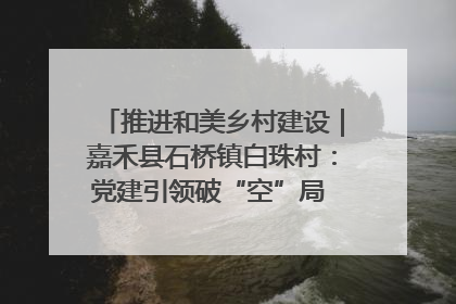 推进和美乡村建设｜嘉禾县石桥镇白珠村：党建引领破“空”局 乡贤聚力绘就新图景