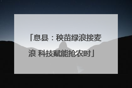 息县：秧苗绿浪接麦浪 科技赋能抢农时
