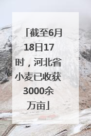 截至6月18日17时，河北省小麦已收获3000余万亩
