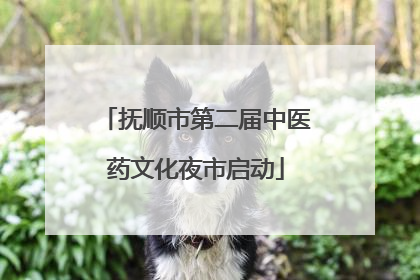 抚顺市第二届中医药文化夜市启动