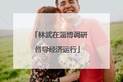 林武在淄博调研督导经济运行