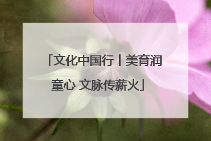 文化中国行丨美育润童心 文脉传薪火