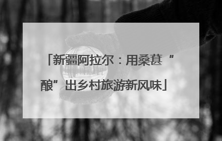 新疆阿拉尔：用桑葚“酿”出乡村旅游新风味