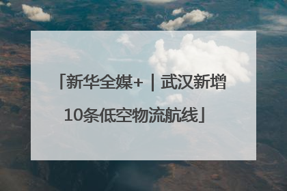 新华全媒+｜武汉新增10条低空物流航线