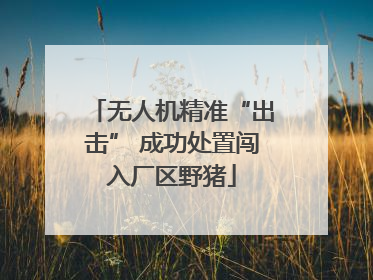 无人机精准“出击” 成功处置闯入厂区野猪