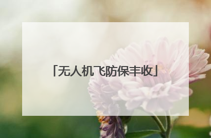 无人机飞防保丰收