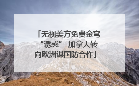 无视美方免费金穹“诱惑” 加拿大转向欧洲谋国防合作