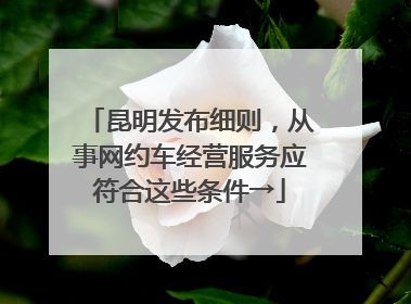 昆明发布细则，从事网约车经营服务应符合这些条件→