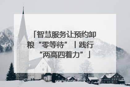 智慧服务让预约卸粮“零等待”丨践行“两高四着力”