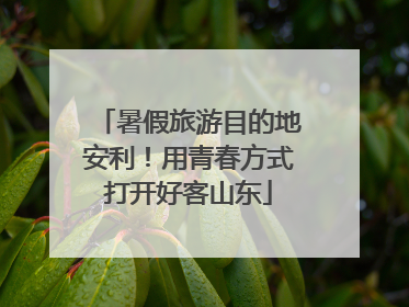 暑假旅游目的地安利！用青春方式打开好客山东