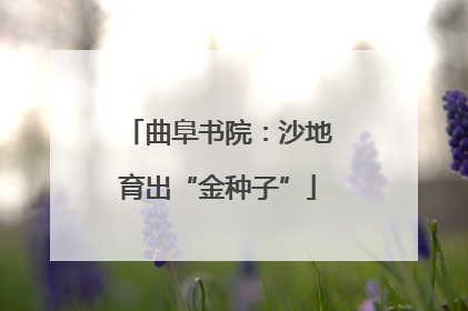 曲阜书院：沙地育出“金种子”