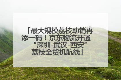 最大规模荔枝助销再添一码！京东物流开通“深圳-武汉-西安” 荔枝全货机航线