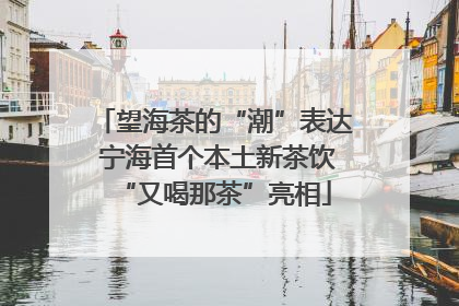 望海茶的“潮”表达 宁海首个本土新茶饮“又喝那茶”亮相