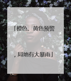 橙色、黄色预警，局地有大暴雨