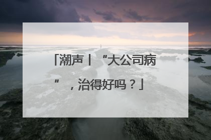 潮声丨“大公司病”，治得好吗？