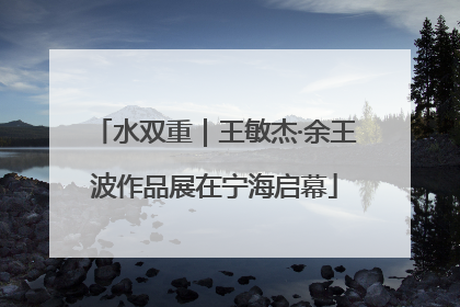 水双重｜王敏杰·余王波作品展在宁海启幕