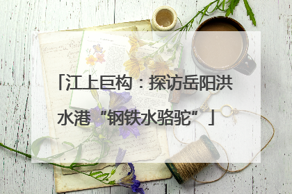 江上巨构：探访岳阳洪水港“钢铁水骆驼”